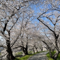 プティフォンテーヌ