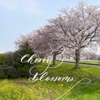 Roselina (ロゼリナ)