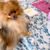 M＊Ruban（エムリュバン)・ 広島