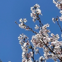 プティフォンテーヌ