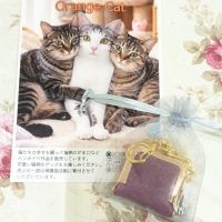 サロンドリサ【Salon de Risa】