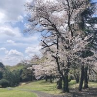 アトリエ・ラ・フランス