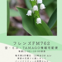 アトリエＭａｎｙ