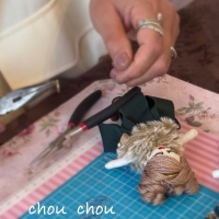 chou chou