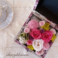 cherryblossom