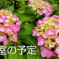 Atelier K²(アトリ...