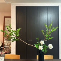 アイリス