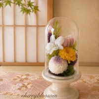 cherryblossom