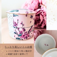 Salon HIRIS*サロン イリス*