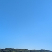 アトリエホワイトリーフ