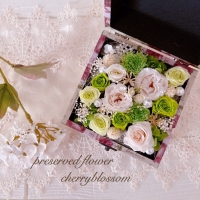 cherryblossom