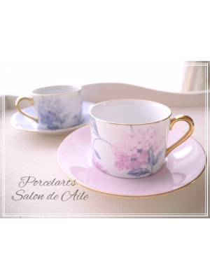 Salon de Aile