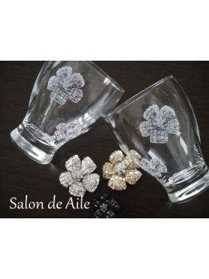 Salon de Aile